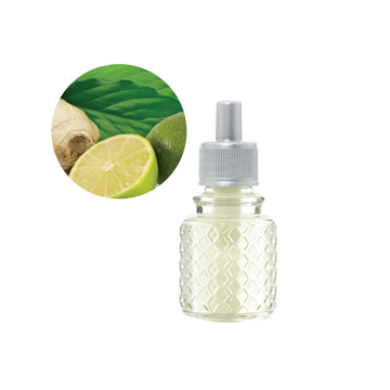 Picture of Ginger Lime Scentre™ Fragrance Oil