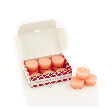 Picture of Mango Mojito Tealights