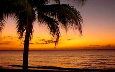 Picture for category Jamaican Sunset Citronella