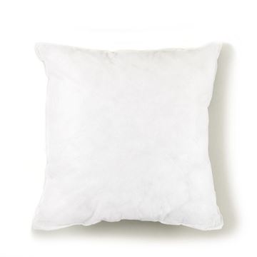 Picture of Square Pillow Insert