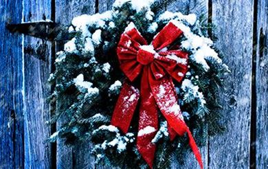 Picture for category Holiday Wreath